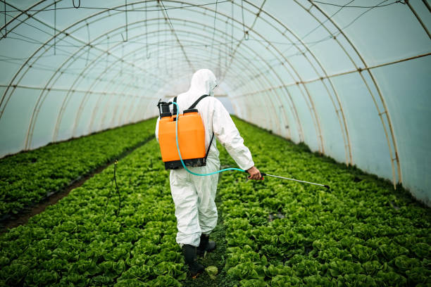Best Best Pest Control Companies  in Mount Gilead, OH