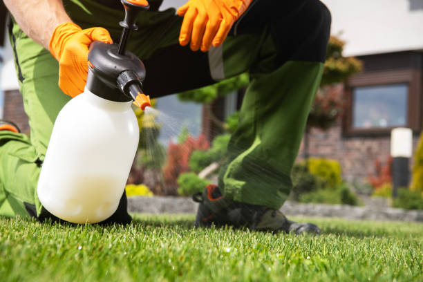 Best Affordable Pest Control Services  in Mount Gilead, OH