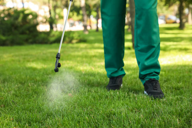 Best Flea Control Services  in Mount Gilead, OH