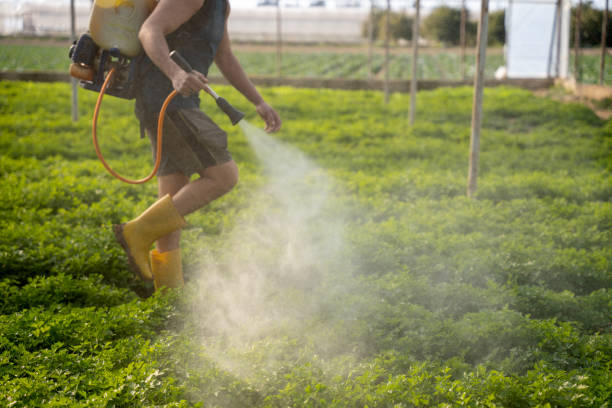 Best Residential Pest Control  in Mount Gilead, OH