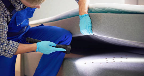 Best Ant Control Services  in Mount Gilead, OH