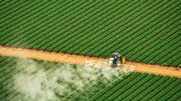 Best Best Pest Control Companies  in Mount Gilead, OH