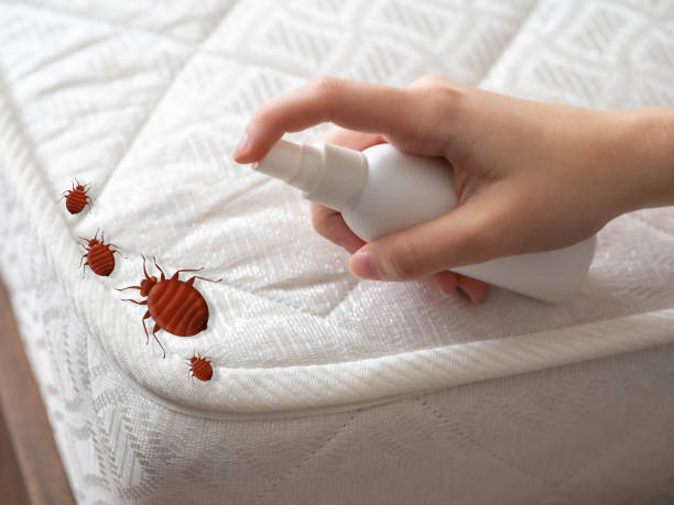 Best Pest Control Near Me  in Mount Gilead, OH