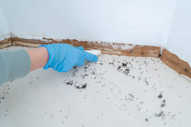 Best Pest Inspection Near Me  in Mount Gilead, OH