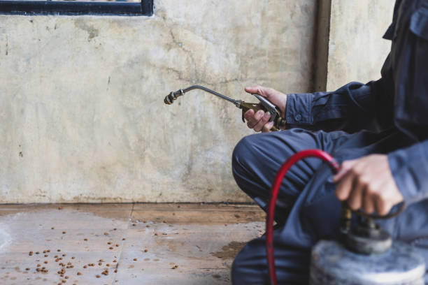 Best Flea Control Services  in Mount Gilead, OH